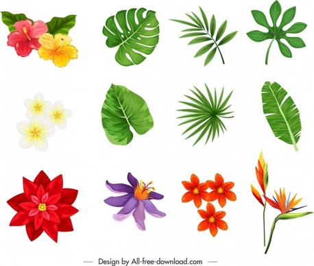 nature design elements colorful petals leaf sketch
