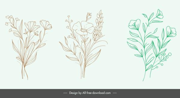nature design elements handdrawn botany sketch