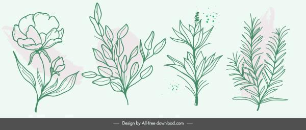 nature elements icons handdrawn botany leaves sketch