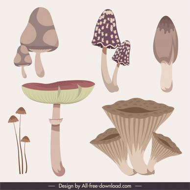 nature elements icons mushrooms shapes sketch classic design