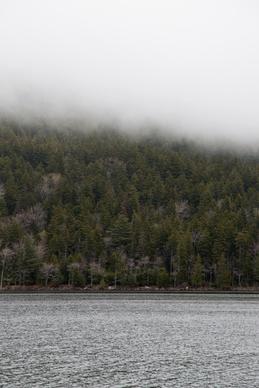 nature landscape lake water trees fog