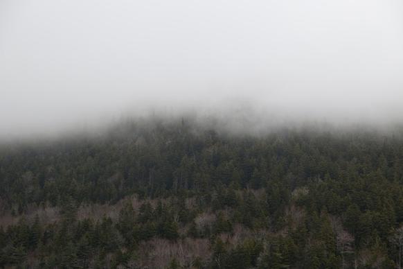 nature landscape trees clouds fog mountains