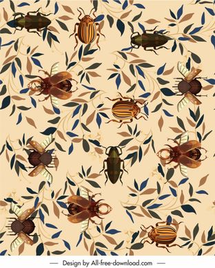 nature pattern template leaf insects species decor