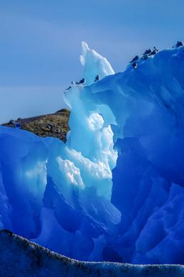 nature picture iceberg penguin herd picture