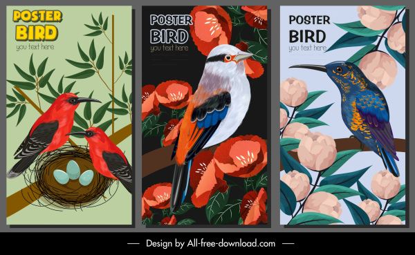 nature posters templates colorful classic bird floras design