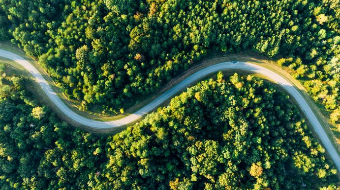 nature scenery picture curvy road forest high view scene 