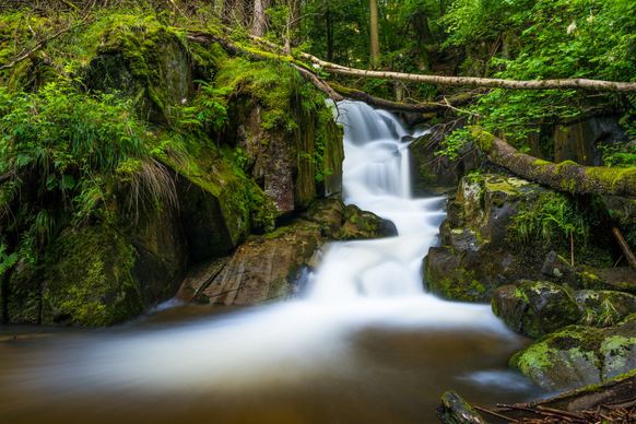 nature scenery picture waterfall flow forest scene 