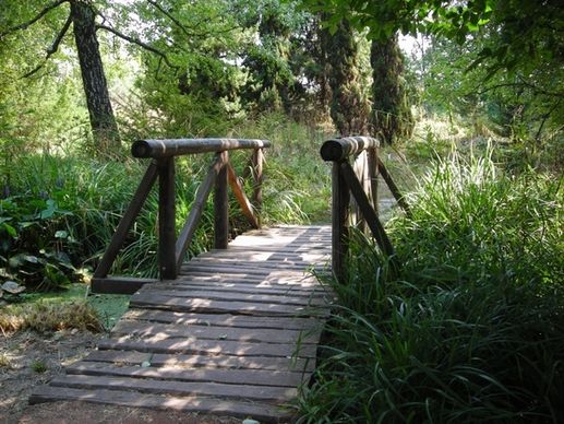 nature wood bridge