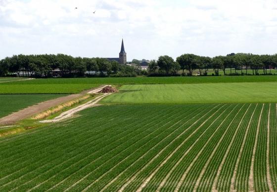 netherlands landscape fields