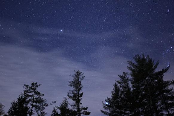 night stars clouds trees