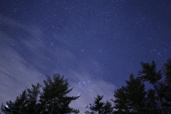 night stars sky trees