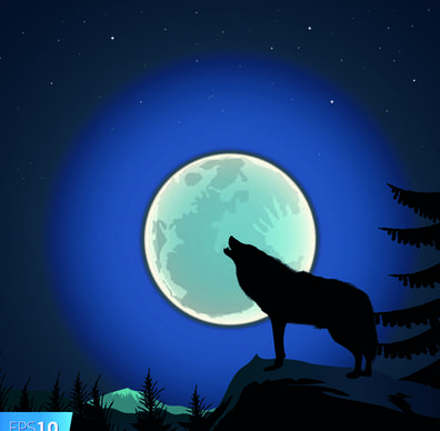 night the moon elements vector