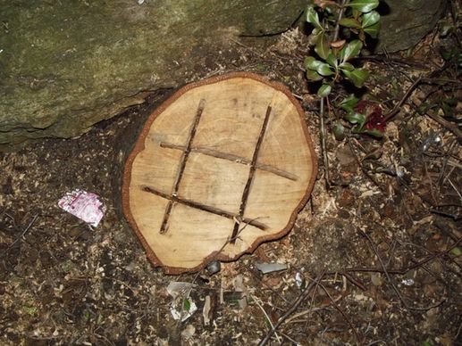noughts amp crosses carved on a tree