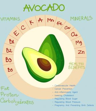 nutrition infographic avocado icon circle design