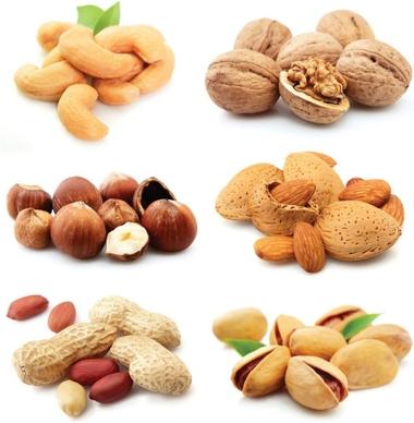 nuts and dried fruit 03 hd pictures