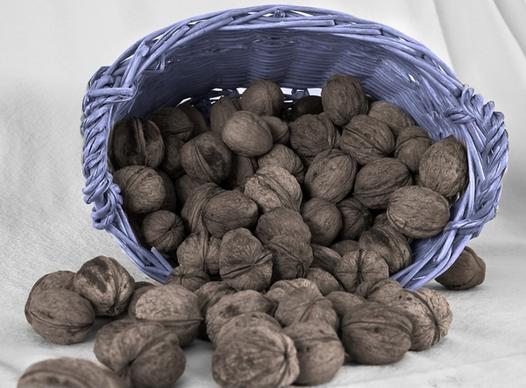 nuts basket brown