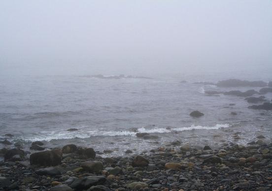 oceanrocks in fog