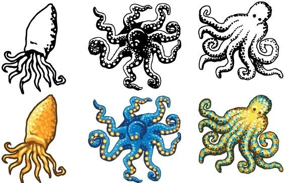 Octopus Design Vectors- Free