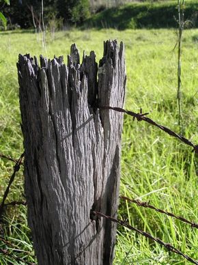 old fence post