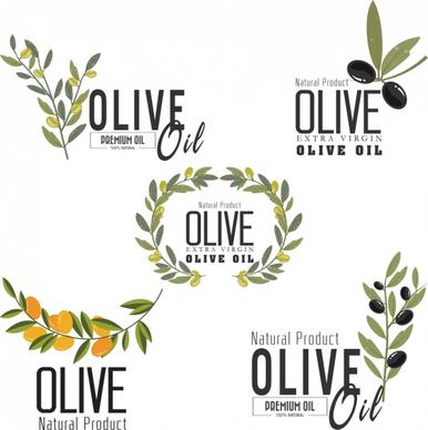 olive oil logotypes fruit leaf icons various decoration