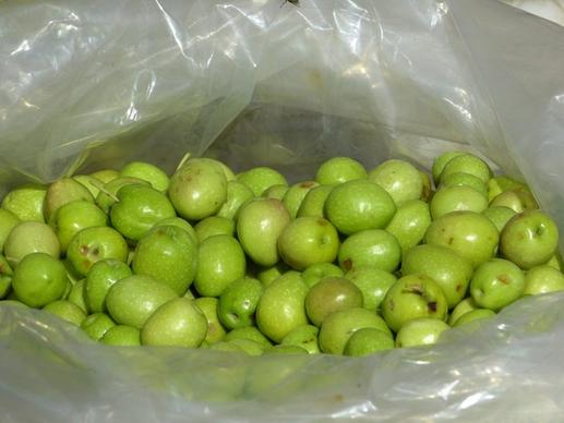 olives green green olives
