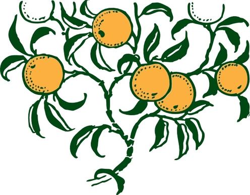 Orange Branch clip art
