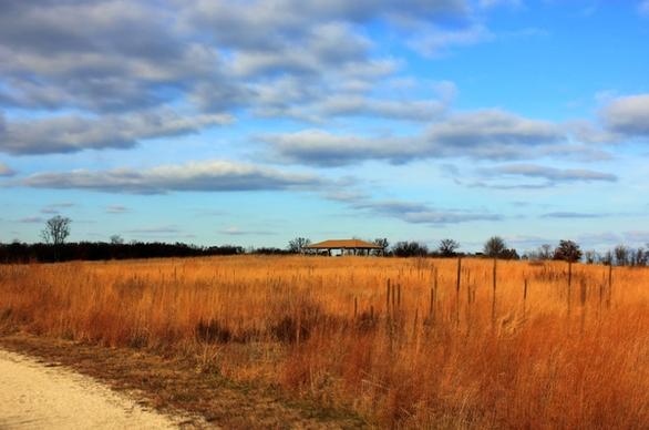 orange fields at illinois beach state park illinois