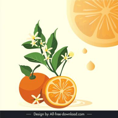 orange fruit background template flat fruit slice leaves juice
