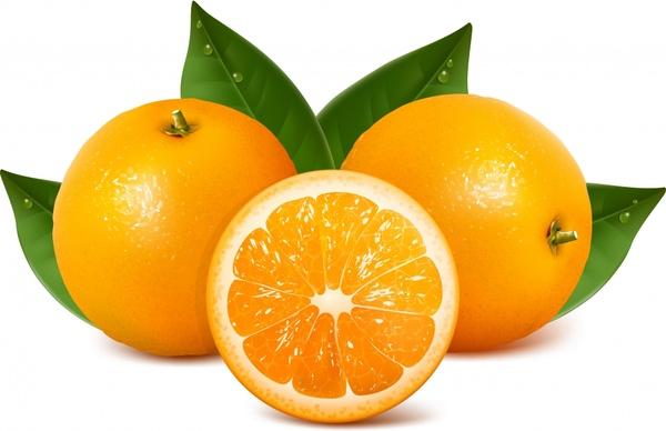 orange fruit background shiny modern realistic sketch