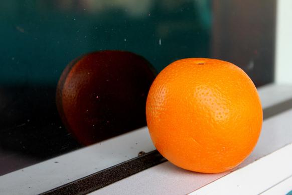 oranges reflection
