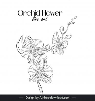 orchid flower line art design elements black white handdrawn