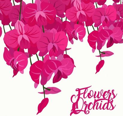 orchids background pink icons decoration