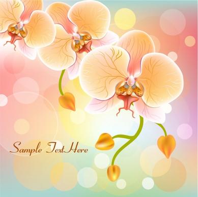 orchids background sparkling multicolored decoration