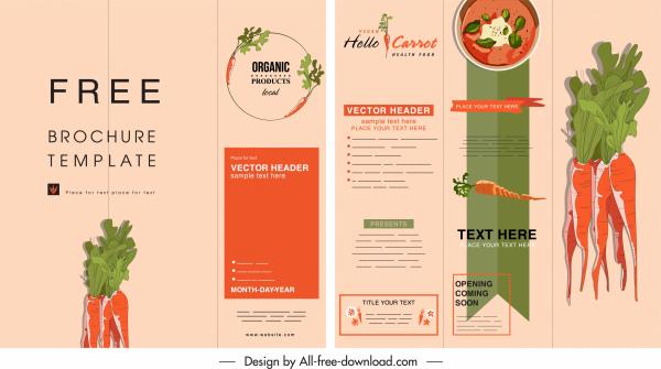 organic food brochure carrot theme colorful classic decor