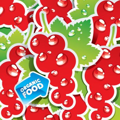 organic food labels stickers design vector
