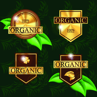 organic food labels with green leaf vector