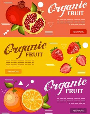 organic fruits advertising orange strawberry pomegranate icons