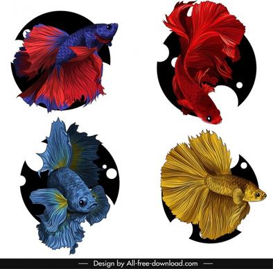 ornamental fish icons elegant motley design
