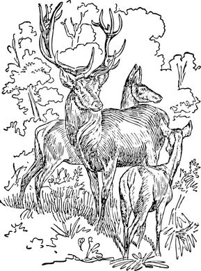 Outline Red Deer clip art