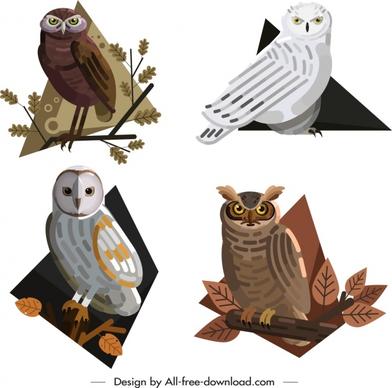 owl animals icons colored cartoon design