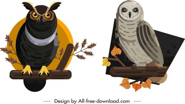 owl species icons colored classical design