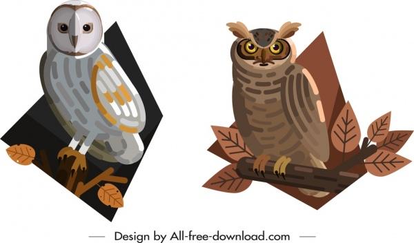 owl wild animal icons colored cartoon sketch