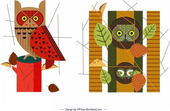 owl wild animal icons colored classical design
