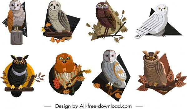 owls icons collection colored cartoon sketch