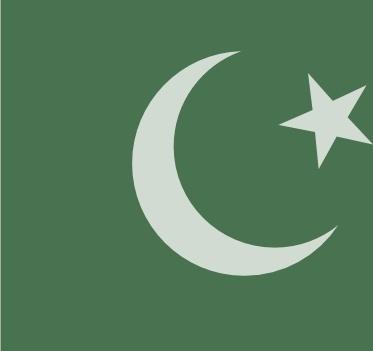 Pakistan Official Flag clip art