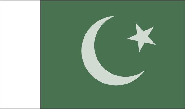Pakistani Official Flag clip art