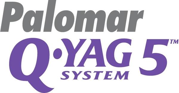 palomar q yag 5 system