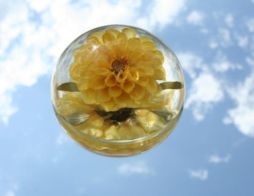 paperweight glass flower