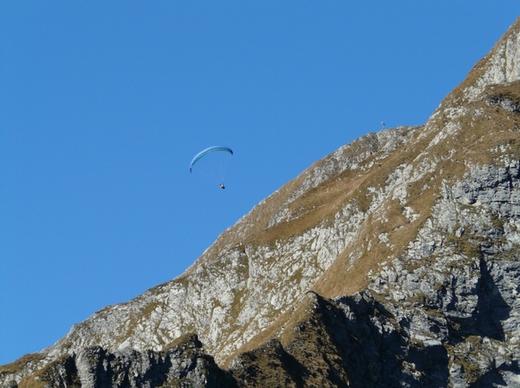 paraglider paragliding h