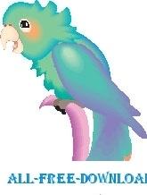 Parrot 25